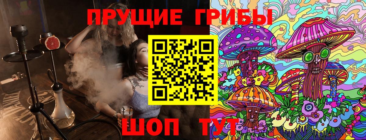 Новокуйбышевск  Псилоцибиновые грибы ЛСД  магазин продажи   Вход с VPN 