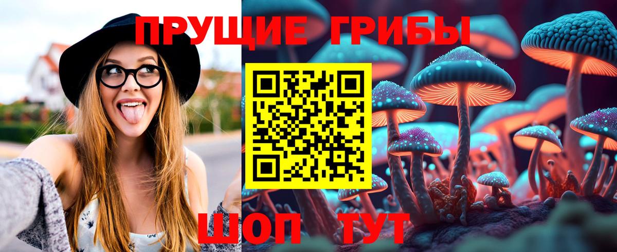 Псилоцибиновые грибы Magic Shrooms Новокуйбышевск